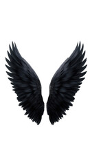 Obraz premium White feather bird isolated pen with graceful purity and mystic glow, symbolic clip art of peace and imagination with ornate, purity, glow