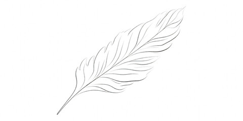 Obraz premium White feather bird isolated pen with graceful purity and mystic glow, symbolic clip art of peace and imagination with mystery, handwriting, dream