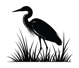 Obraz premium Great Egret Silhouette in Grass: Wetland, Bird, Nature, Wildlife