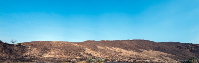 Panorama of barren hills in the aftermath of a fire near Cottonwood Canyon Recreation Area, Oregon, USA