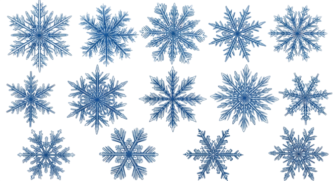 Intricate blue snowflakes displayed in a grid against a stark black background