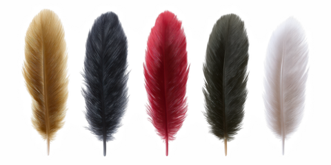 Graceful white feather bird isolated pen clip art, pure literature symbol of peace, purity, and mystic tenderness with individual, feather