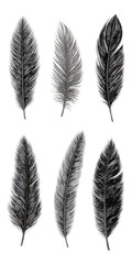 Obraz premium Graceful white feather bird isolated pen clip art, pure literature symbol of peace, purity, and mystic tenderness with fairy, collage, mascot