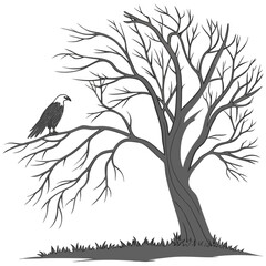 A solitary eagle perched on a bare tree branch against a stark background