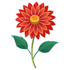 gaillardia arizona aprico silhouette on white background