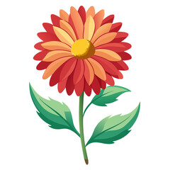 gaillardia arizona aprico line art on white