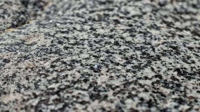 Speckled rock with light surface