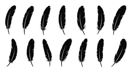 Multiple Black Feather Silhouettes Arranged in Two Rows