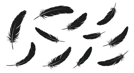 Floating Feather Silhouette Design Elements on White