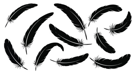 Elegant Silhouette Feather Collection on White Background