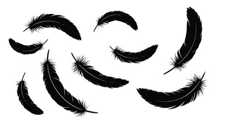 Elegant Floating Feathers in Black and White Illustration