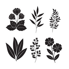  A vector silhouette illustration, white background.