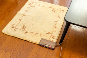 フローリングの上に敷かれた電気カーペット