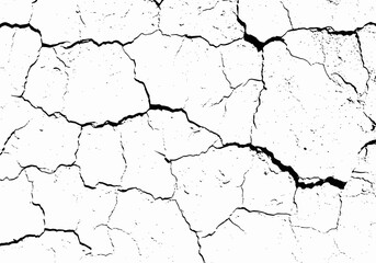 Cracked Earth Texture on White Background
