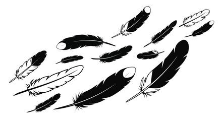 Feathers Floating, Vector Illustration on White Background
