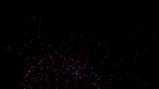 Colorful Firework display at night on sky background. 4k