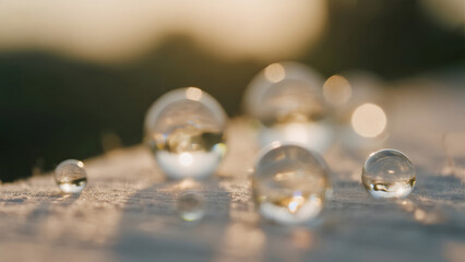 Sparkling Water Drops, Macro Photography, Dew, Reflection, Nature, Morning Light