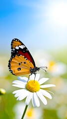 Obraz premium A vibrant monarch butterfly with patterned wings rests atop a daisy, bathed in sunlight against a soft blue sky