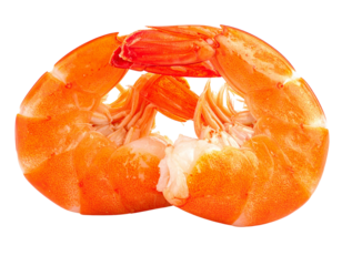 Cooked Shrimp Duo with Curled Tails, isolated on transparent background