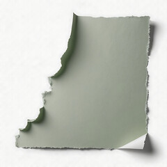 High‑resolution aesthetic torn paper scrap texture with natural edges, soft shadows, and realistic handcrafted details for creative design use (scrap (31))