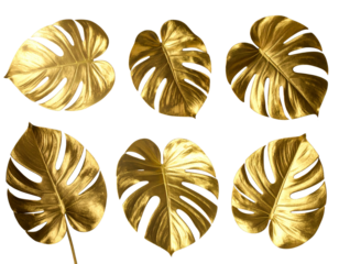 Golden monstera leaf luxury design 