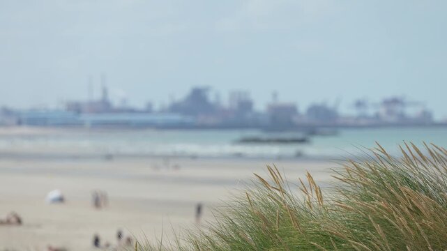 Wind Blows Through Beach Grass on Dunkirk Coastline