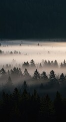 Naklejka premium A silent, dense, white mist slowly blankets a dark forest landscape at dawn, creating a spooky, ethereal, and mysterious atmosphere ,season ,moisture ,serene