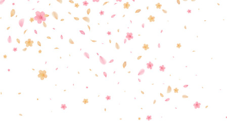 spring  with pink and soft orange cherry blossoms and scattering petals Transparent effect on a white background Ideal for romantic invitations wedding announcements 