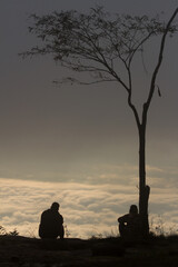 silhouette of a man sitting on ground with view sea mist on morning mountain