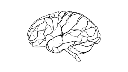 Brain Illustration White Outline on Transparent Background