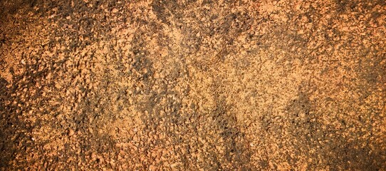 Close-up of rough, textured surface with a mix of brown and dark tones