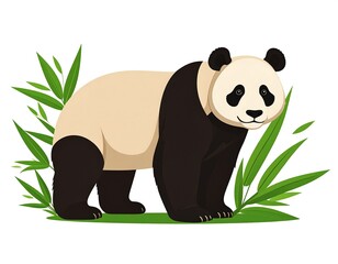 A cute cartoon giant panda stands upright, framed by green bamboo shoots. It has black fur patches around eyes, ears, legs, and arms, with a creamy white face and torso