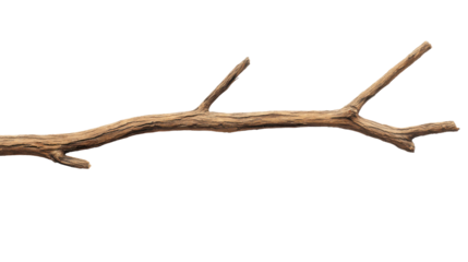 Artistic Branch: A detailed capture of a wooden branch, the rough texture and intricate details tell a story of resilience and the beauty of nature's design.