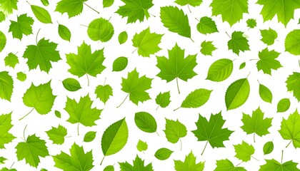 A vibrant composition featuring an array of different green leaves scattered randomly against a clean white backdrop