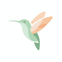 hummingbird vector illustration