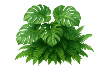 Tropical plant arrangement with monstera and fern leaves featuring lush green foliage, transparent background