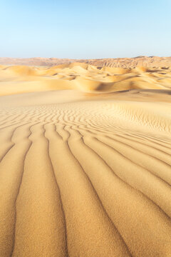 Landscape: sand dunes desert, Abu Dhabi, Emirates