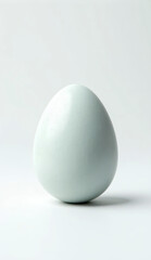 A single duck egg standing upright on a clean white background.