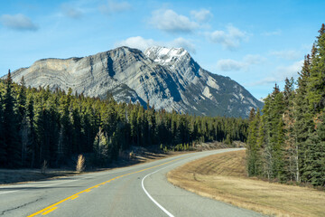 Fototapeta premium road in the mountains