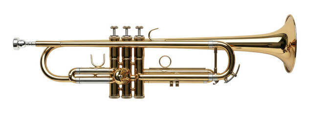 Golden trumpet transparent background cutout png