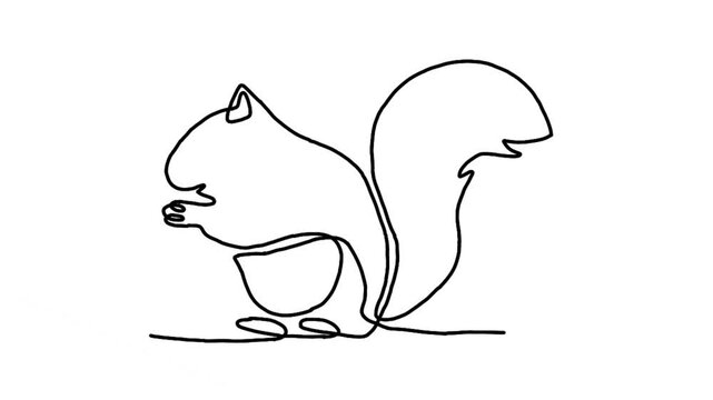 Continue line animation of squirrel icon