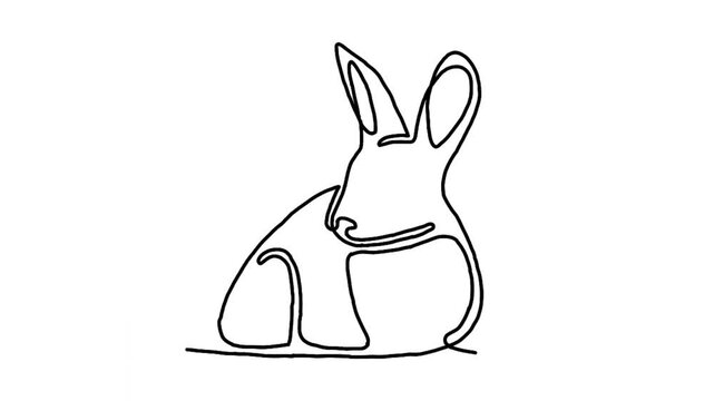Continue line animation of rabbit icon