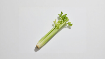 Fresh celery stalk with vibrant green leaves on a clean white background
