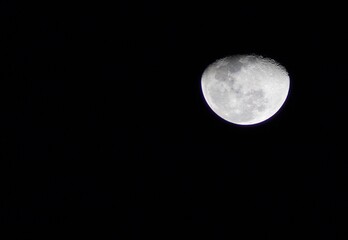 Moon Nov 2025