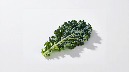 Single curly kale leaf on a white background with soft shadows
