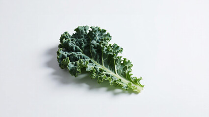 Single Kale Leaf on White Background, Showing Detailed Texture and Shadow