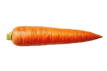 Single whole carrot, vibrant orange, long and slender, isolated against black