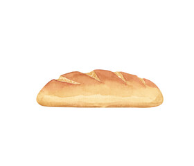 A fresh loaf of crispy bread baked from wheat flour. Hand-painted with watercolors.