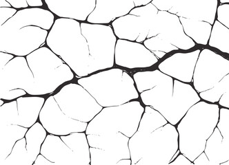 Dark branching veins abstract pattern black white © Mehedy