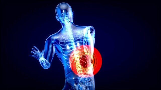 Man suffering from back pain Human body spinal spine VERTEBRA motion animation 3d rendered